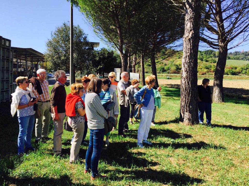 ricerca dei tartufi di san miniato per gite organizzate